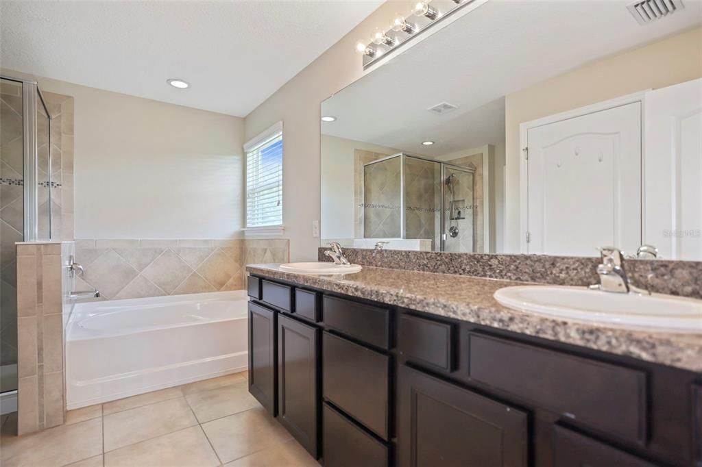 Master Bathroom Counters and Tub