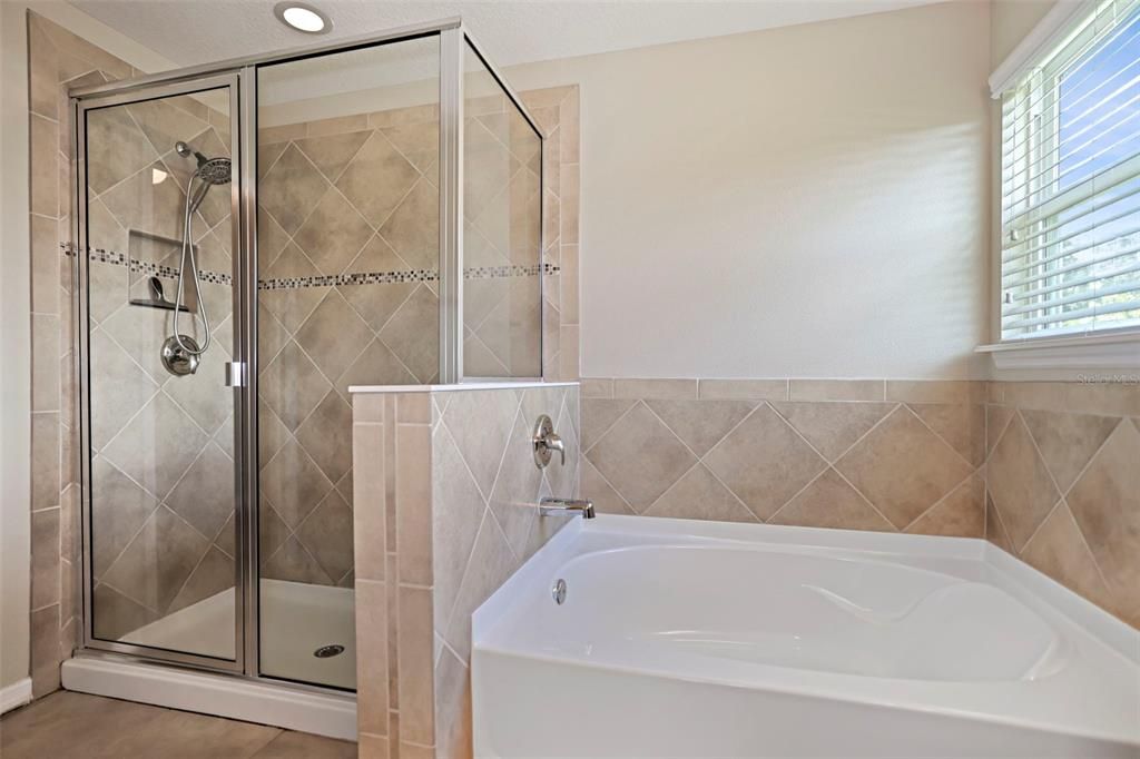 Master Bathroom Shower and Tub