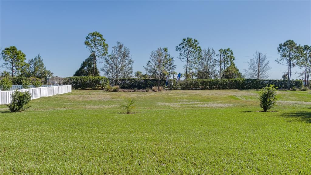 View of the back of yard from the lanai