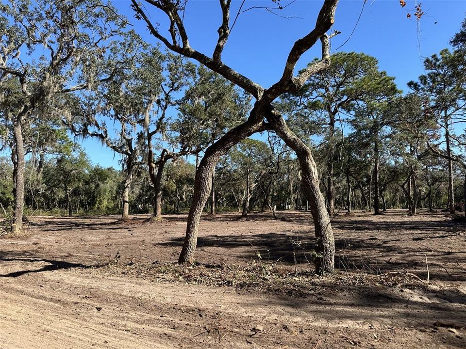 На продажу: $295,000 (4.69 acres)