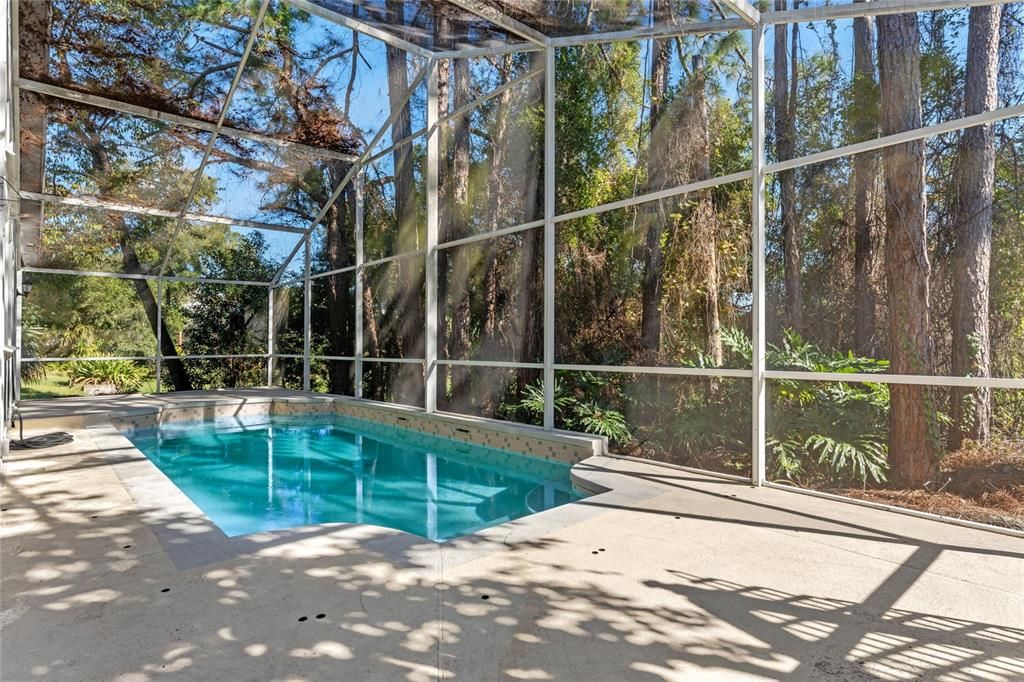 Gorgeous Screened Pool (Child Safety Fence in Garage)