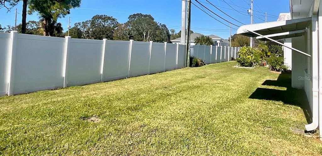 Grassy area behind house