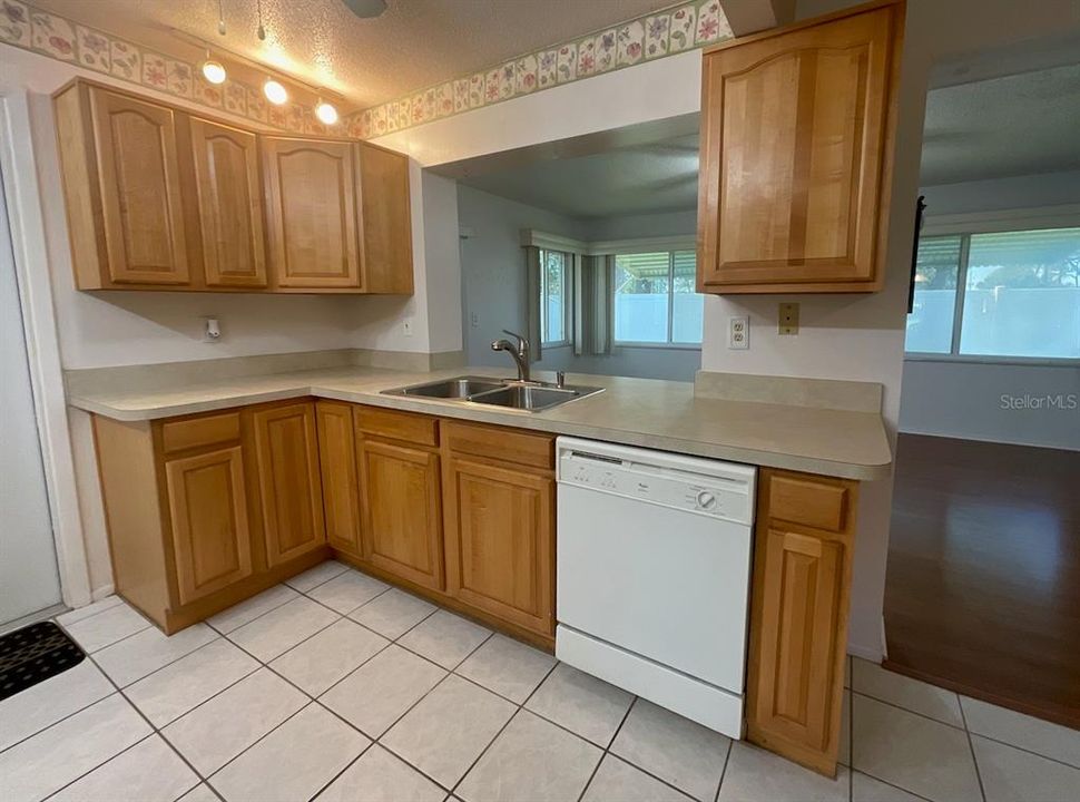 Kitchen sink area