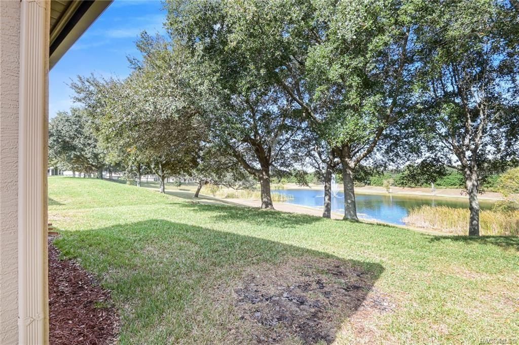 backyard facing lake