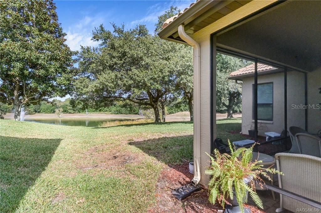 back screened porch