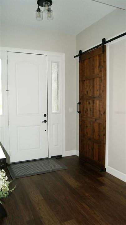 Barn Door to Den