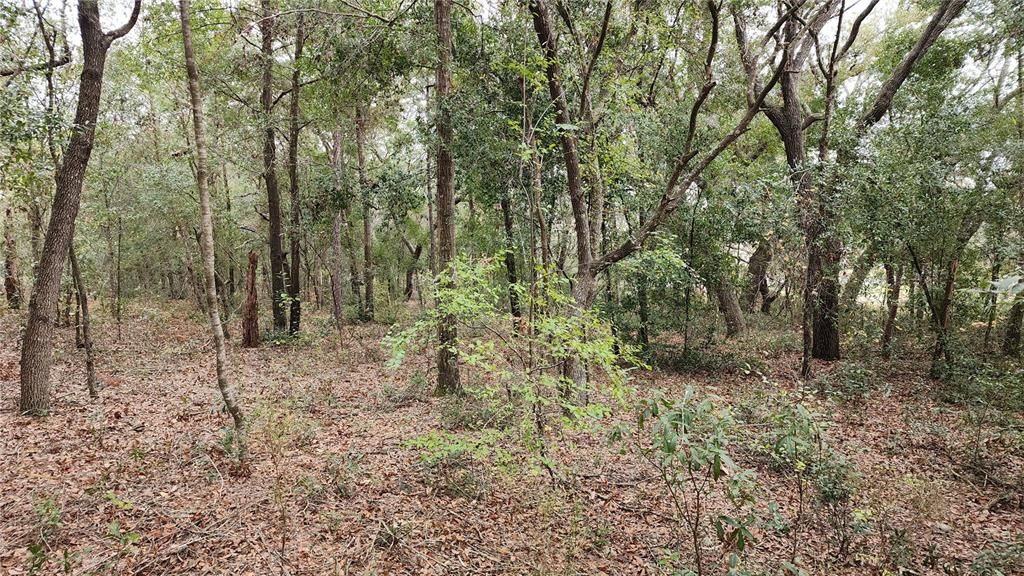 En Venta: $25,000 (0.23 acres)