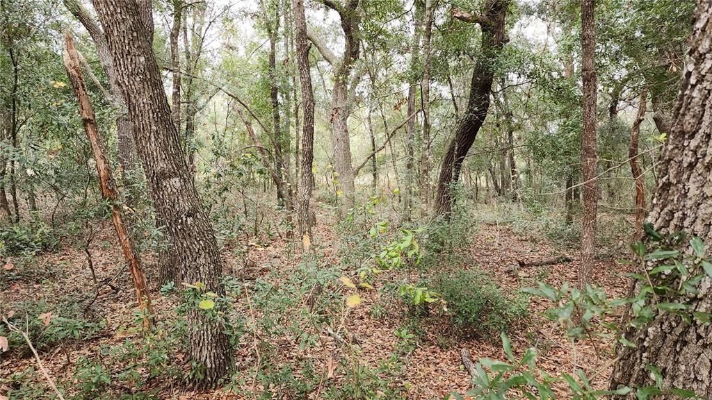 En Venta: $25,000 (0.23 acres)