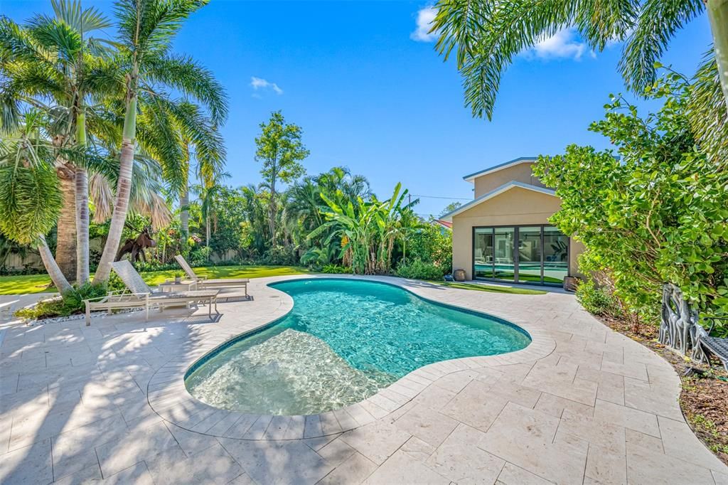 Pool with Sun Shelf. Gorgeous landscape