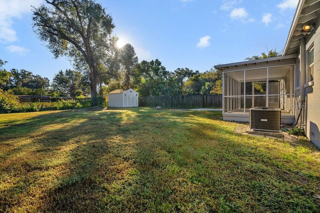 Backyard with Shed