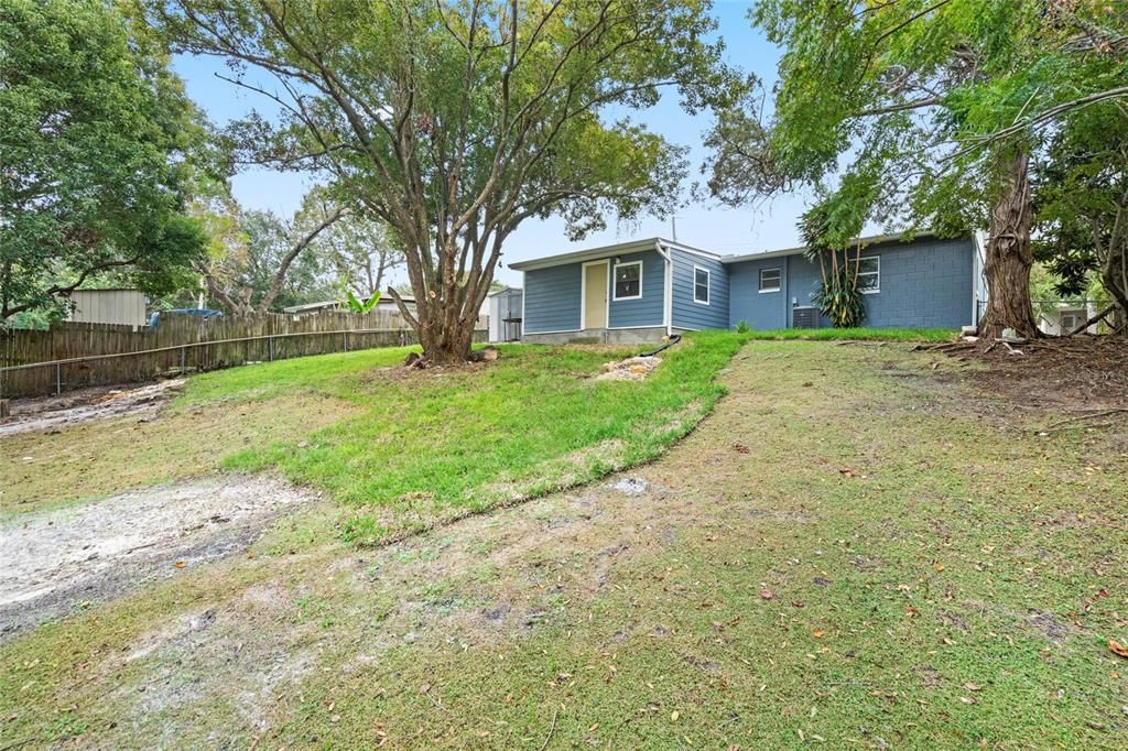 Expansive Backyard!