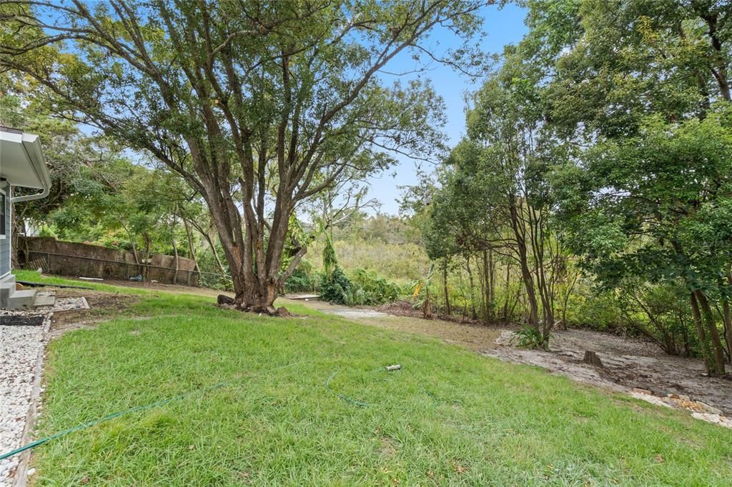 Expansive Backyard!