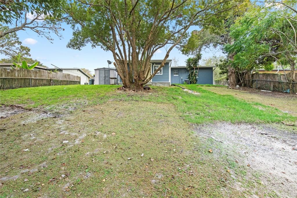 Expansive Backyard!