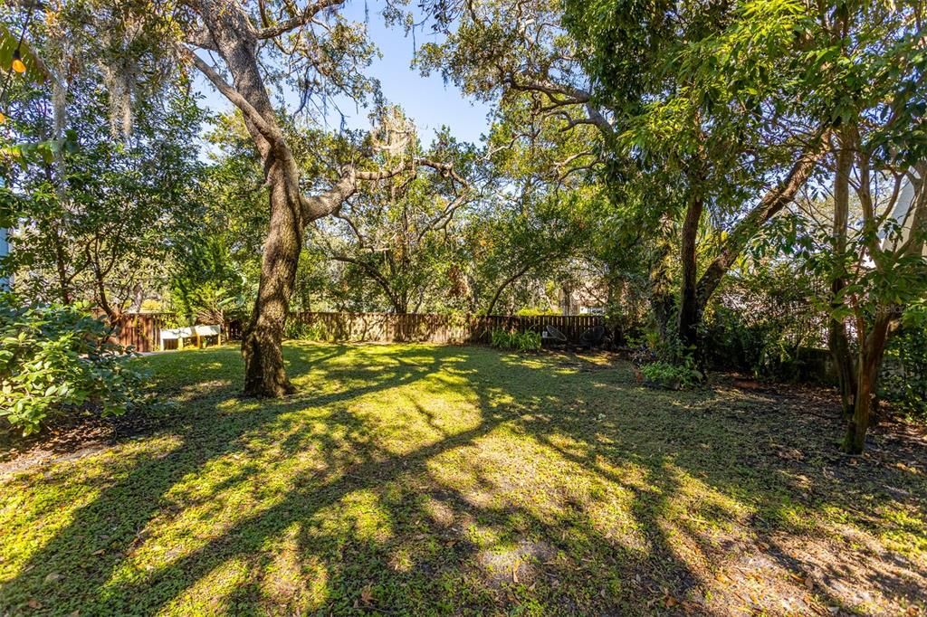 Large, Fenced in Back Yard