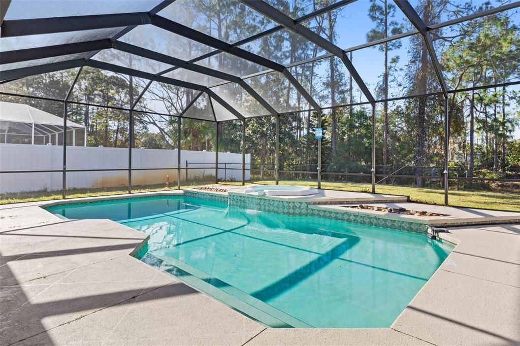 Saltwater Pool With Large Screened Enclosure