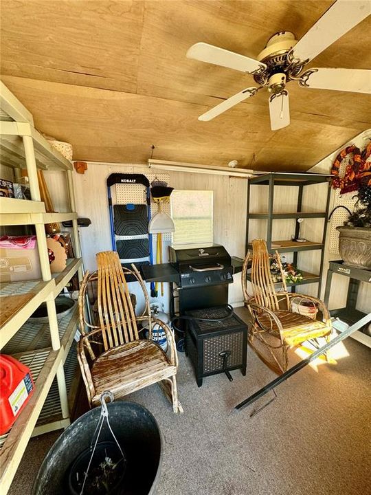 Shed with plenty of shelves