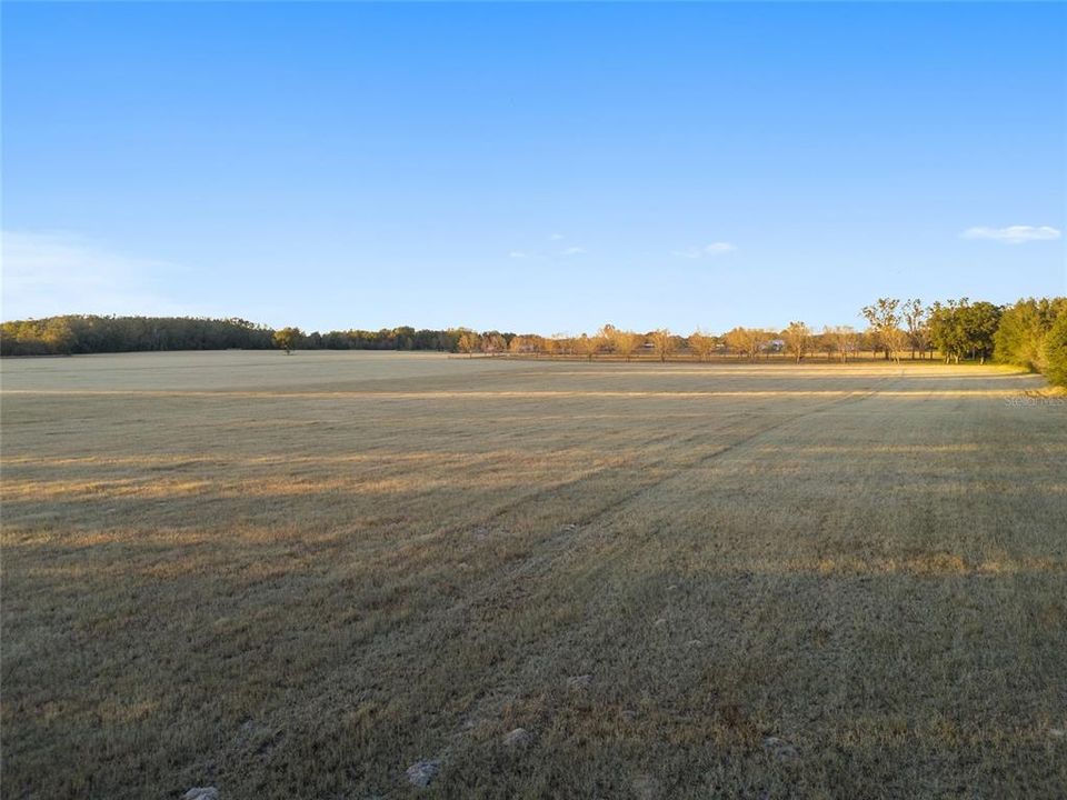 For Sale: $718,500 (20.53 acres)