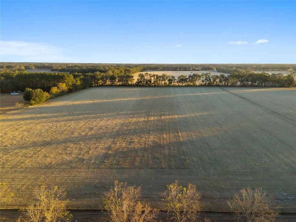 For Sale: $718,500 (20.53 acres)