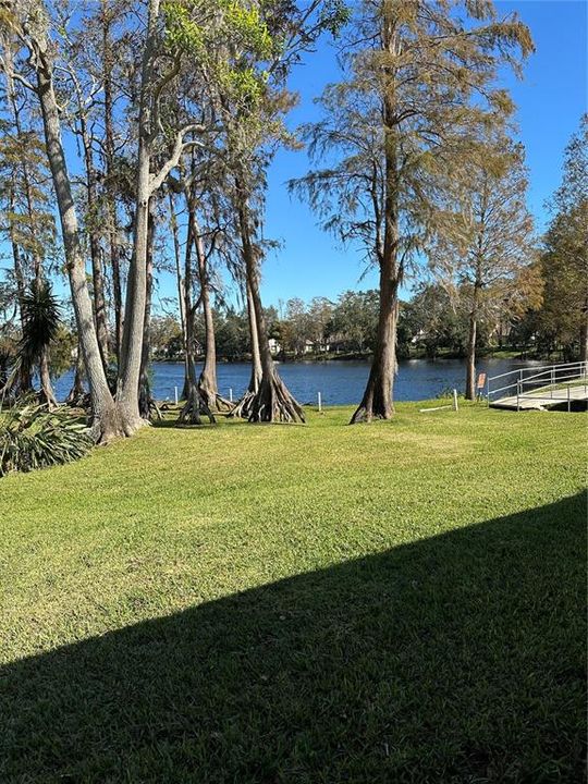 View from rear porch