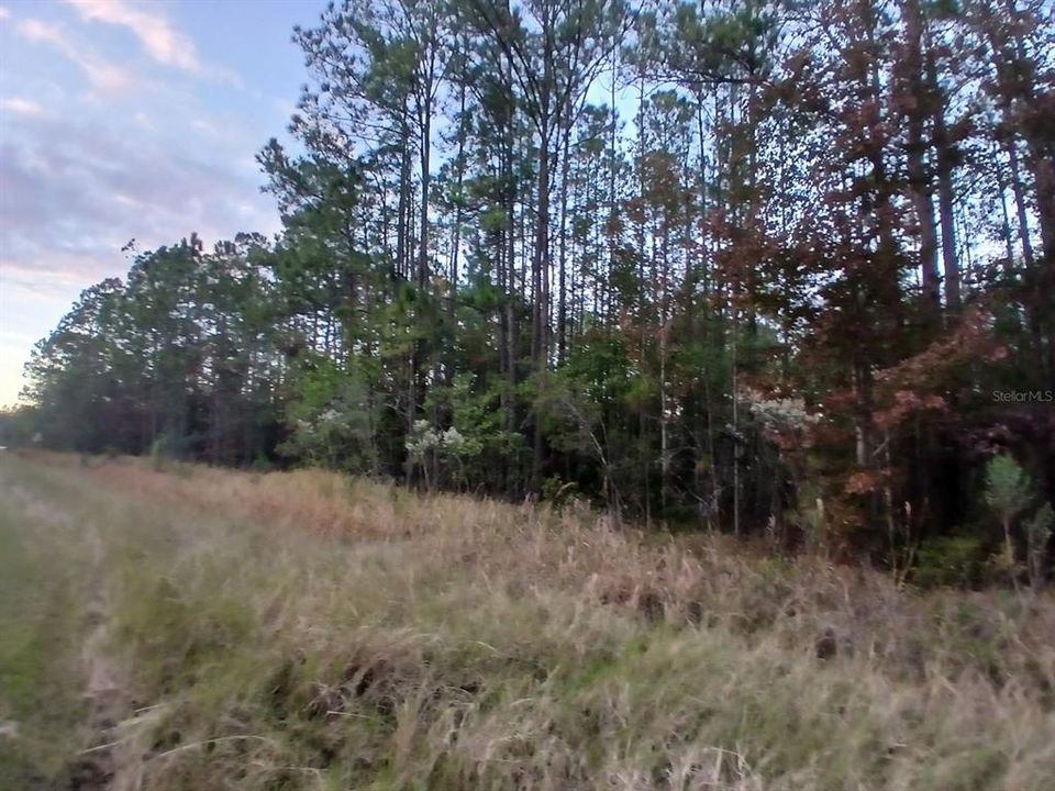 Active With Contract: $315,000 (15.41 acres)