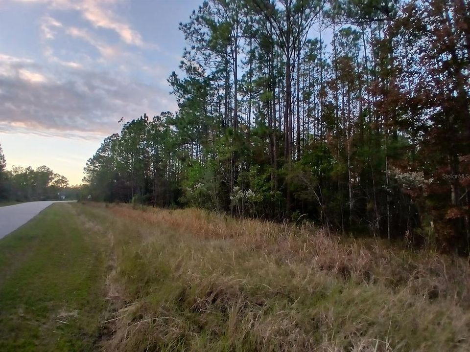 Active With Contract: $315,000 (15.41 acres)