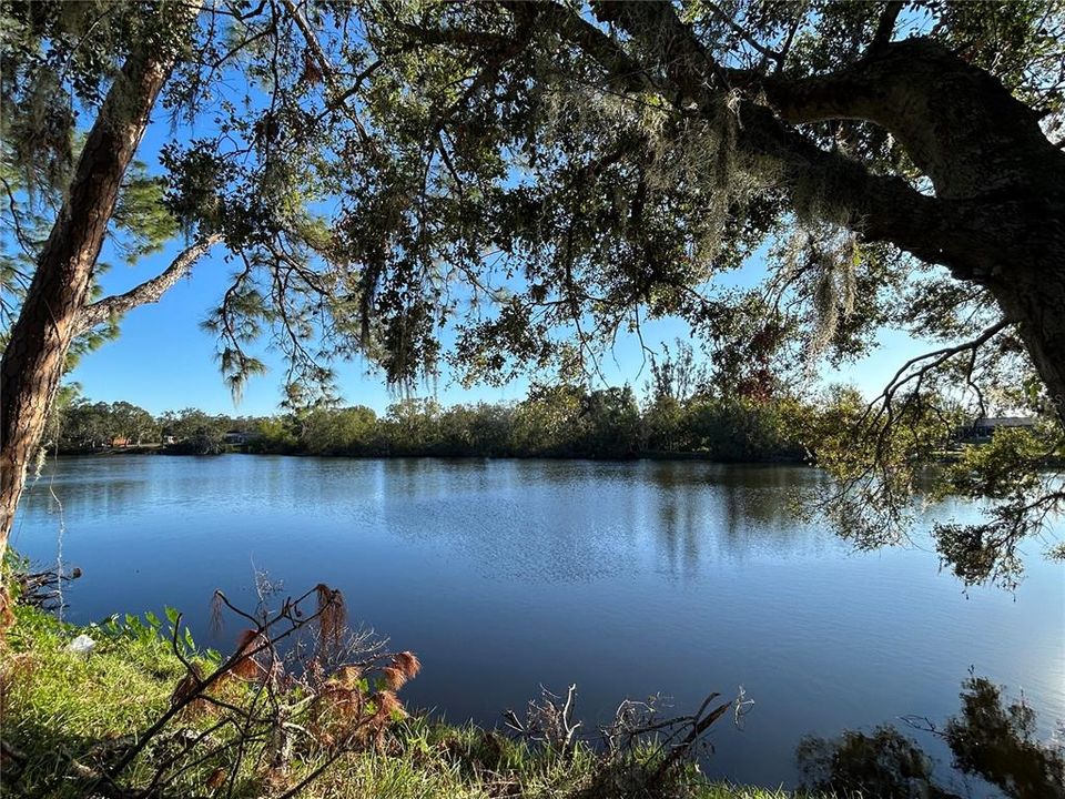 Looking at your peaceful backyard from across the lake!