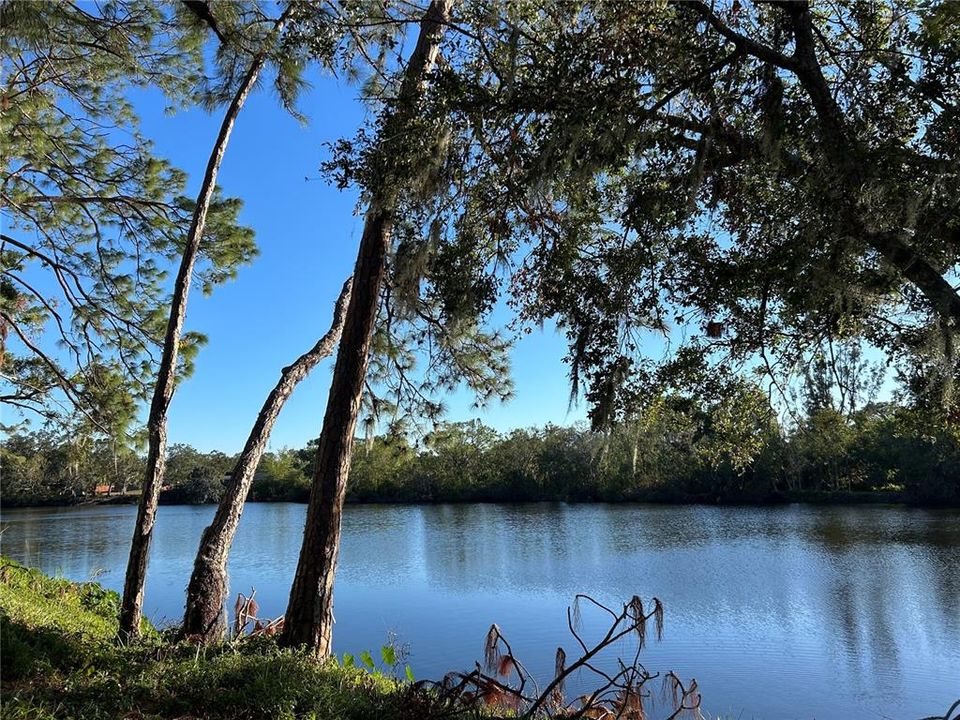 Check out your island and backyard from across the lake!