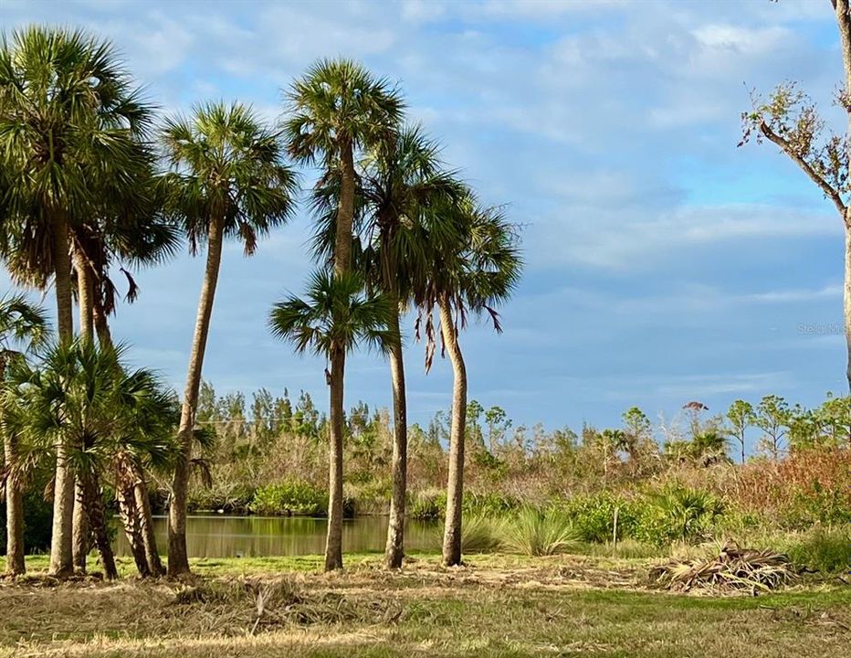 На продажу: $249,500 (2.50 acres)