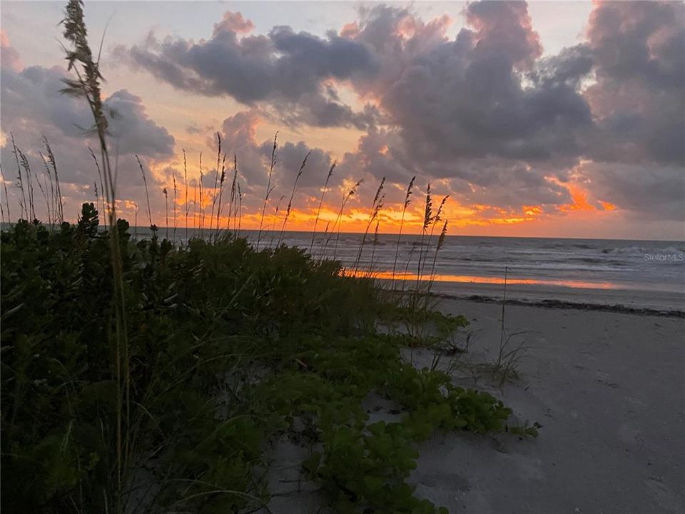 Sand Key Beach