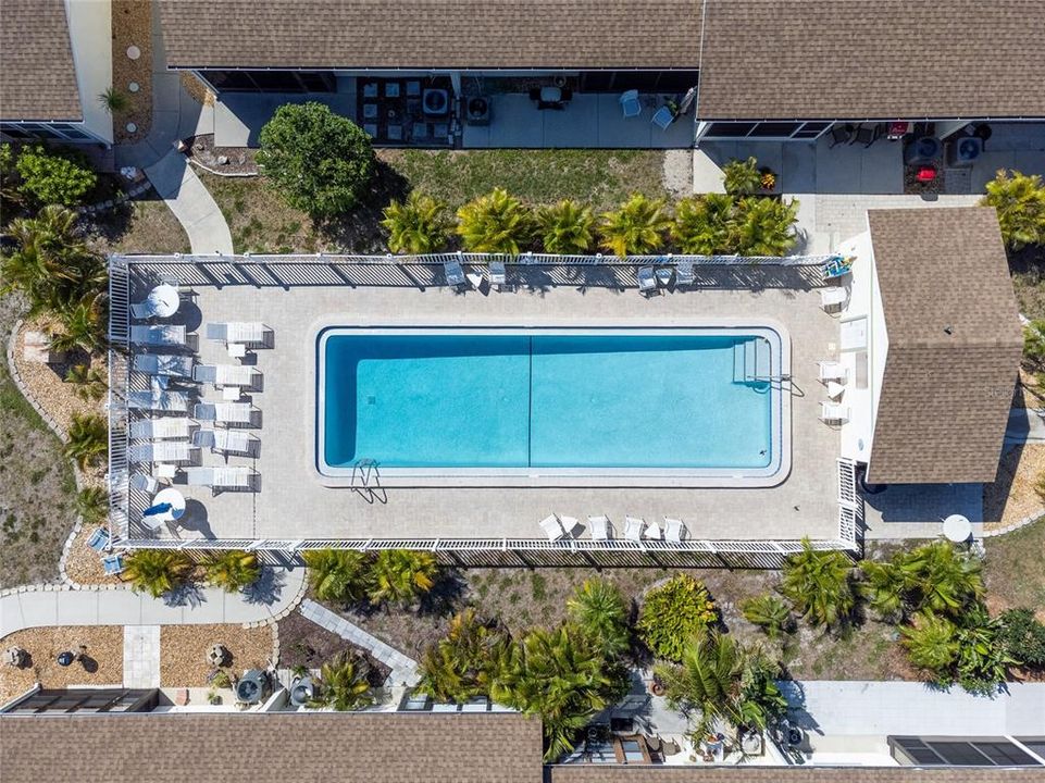 Aerial view of the community pool.