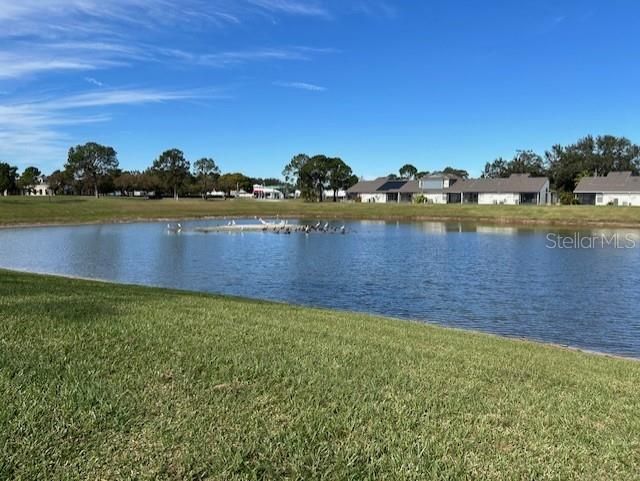 Waterview from Back Porch