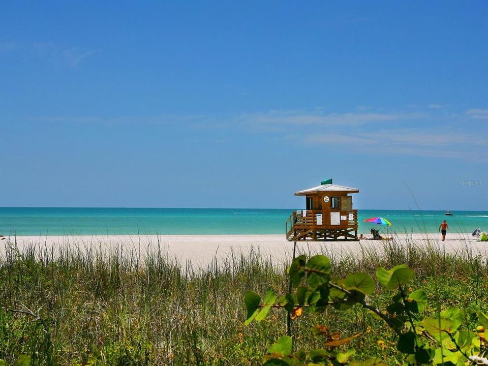 Lifeguard Service Lido Beach