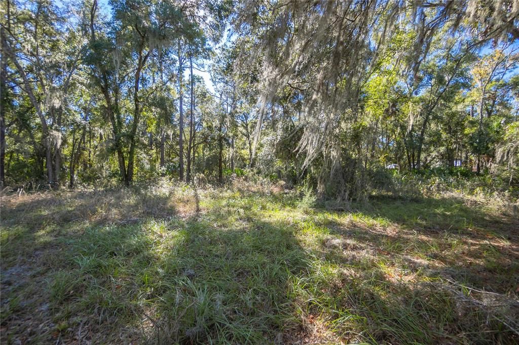 На продажу: $50,000 (1.11 acres)