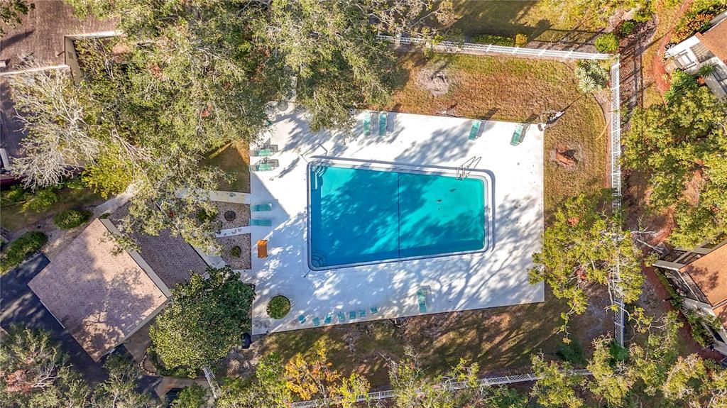 Ariel View of Pool