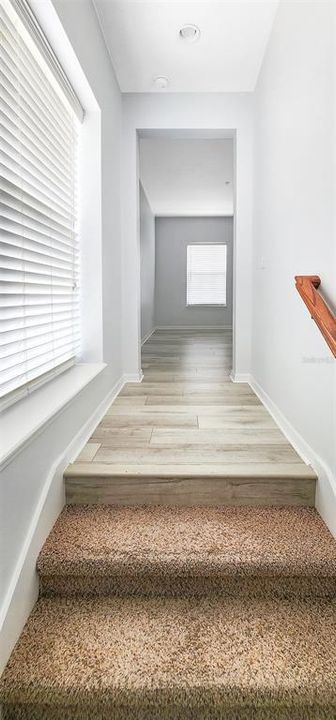 Stairs Garage Apartment