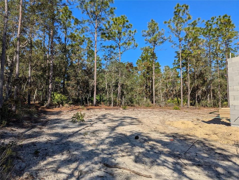 left side of Home towards backyard