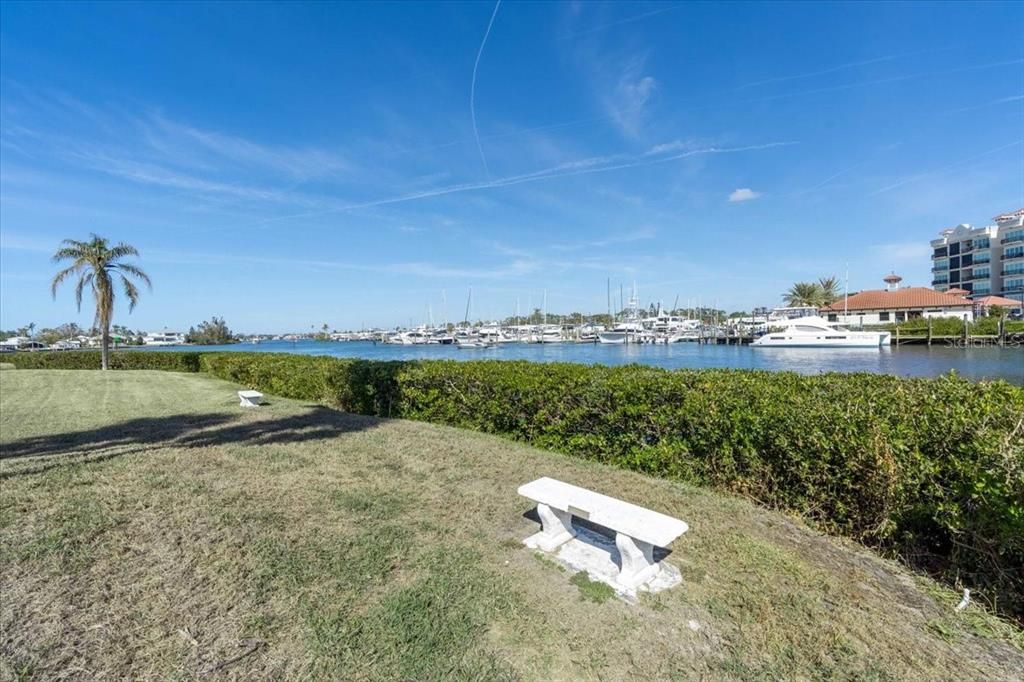 bench by the intracoastal at the back of the property and bushes to separate