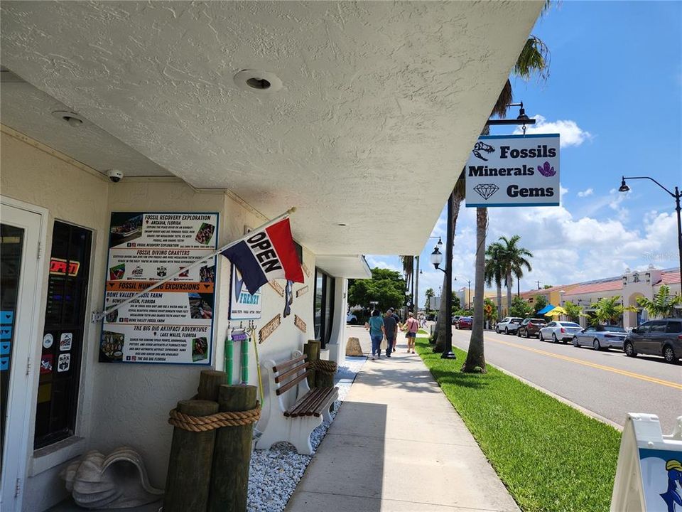 some cool shops along Tampa Ave, Venice Ave and Miami. All walking distance.