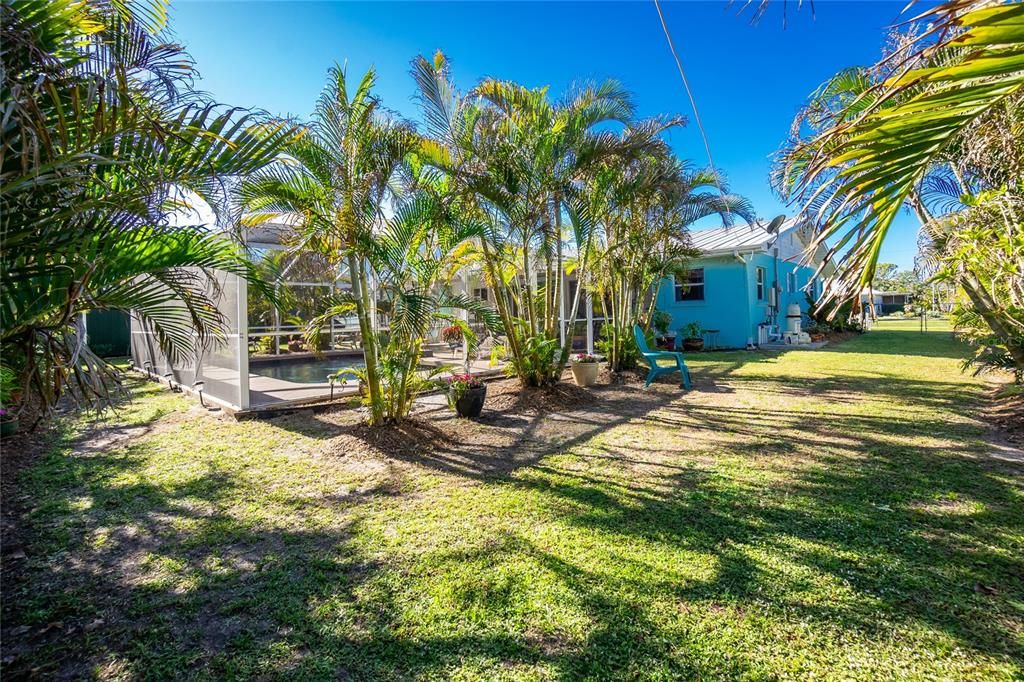 View from rear corner of property