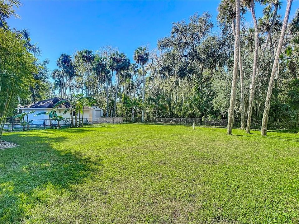 view to detached garage and shed