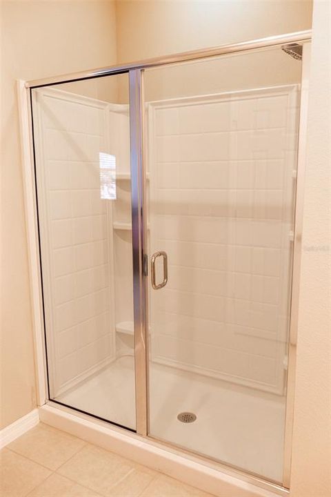 Primary Walk-in Shower Enclosure