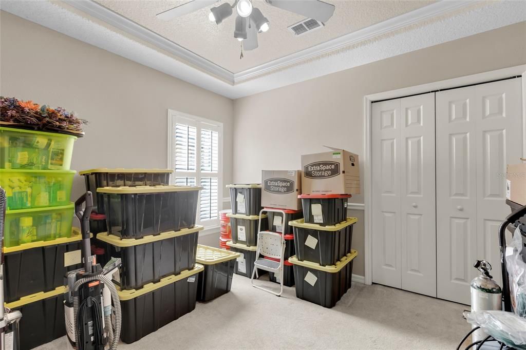 Bedroom 2 with tray ceilings