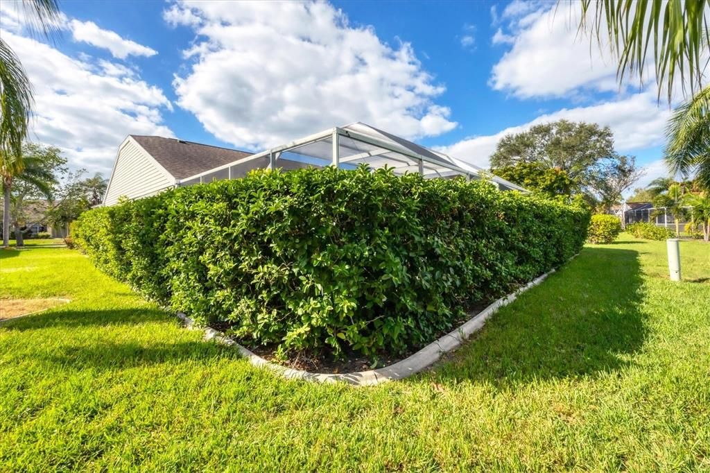 Shrubbery provides lots of privacy for the pool area