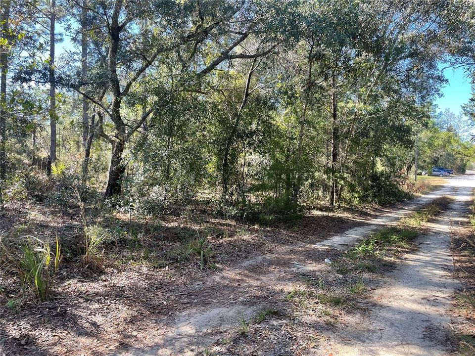 Road front of property