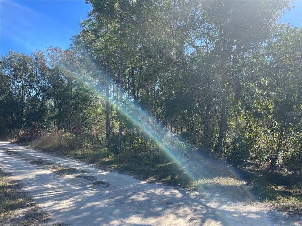 Road front of property