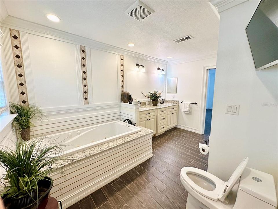 Bathroom in Larger Unit