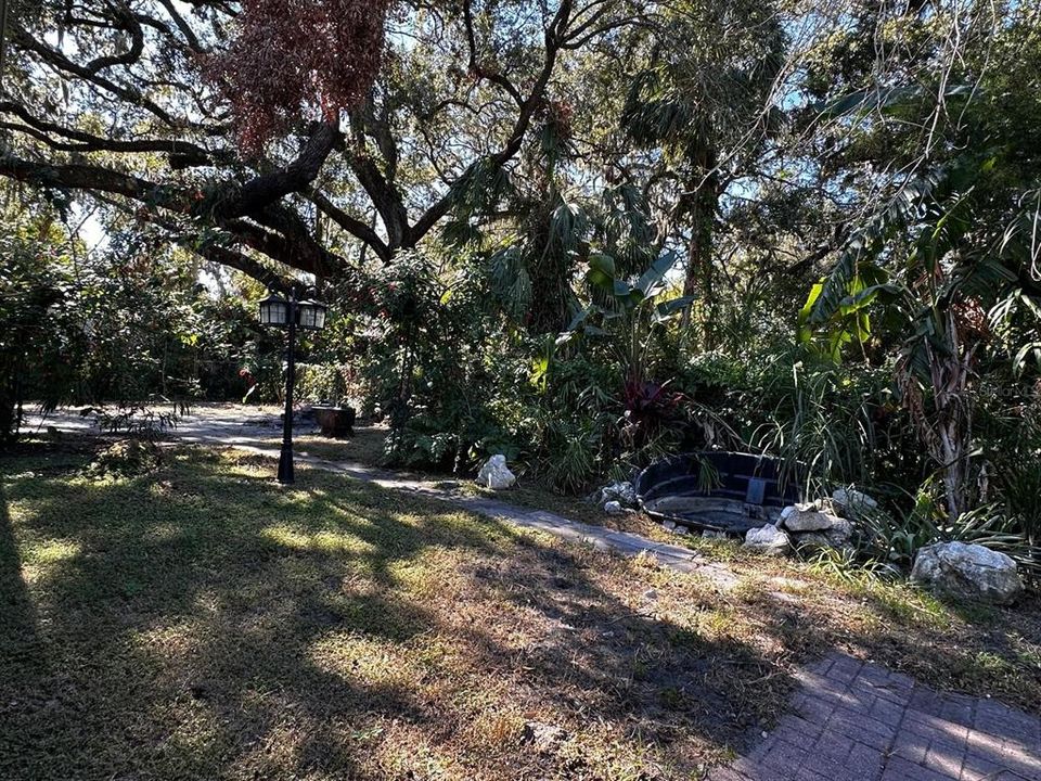 Large Naturistic Back Yard