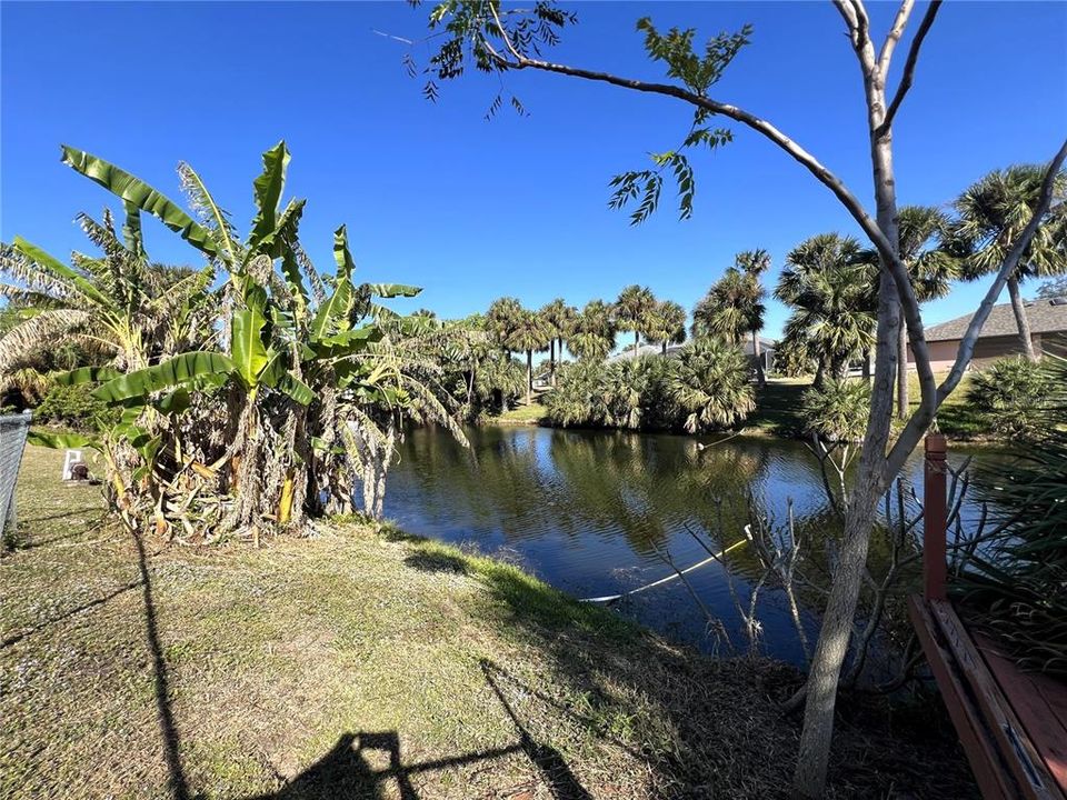 Views of the Freshwater Canal!