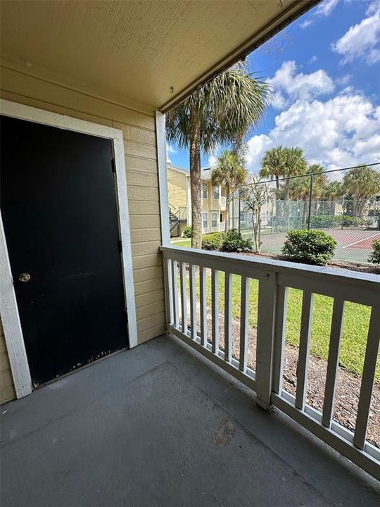 Back Patio and Storage Closet Door