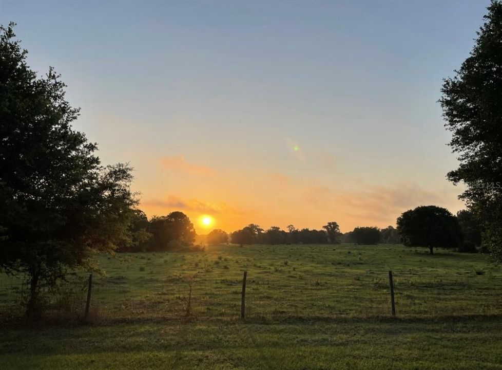 morning pasture views from back  porch